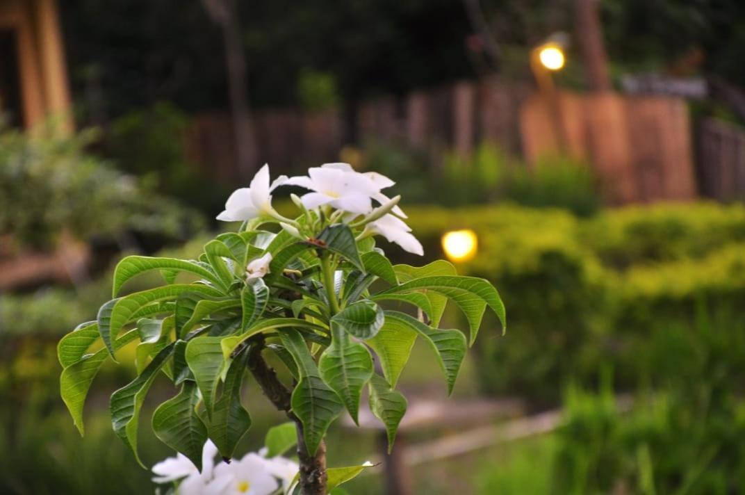 Pondok Guru Bakti Cottage Senaru Εξωτερικό φωτογραφία